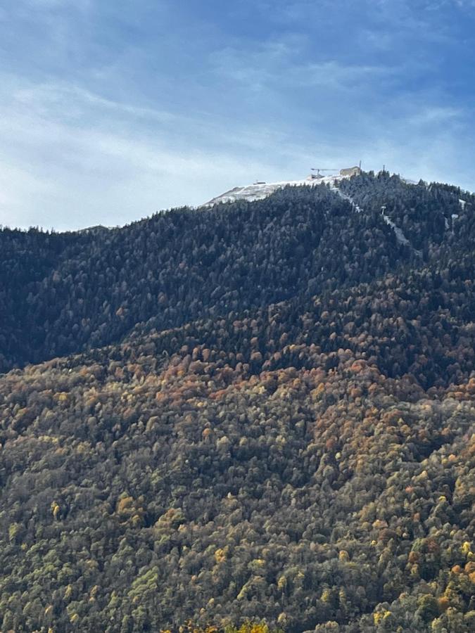 Maison De Village Montauban-de-Luchon Dış mekan fotoğraf